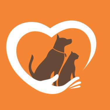 Foto de VITALPET