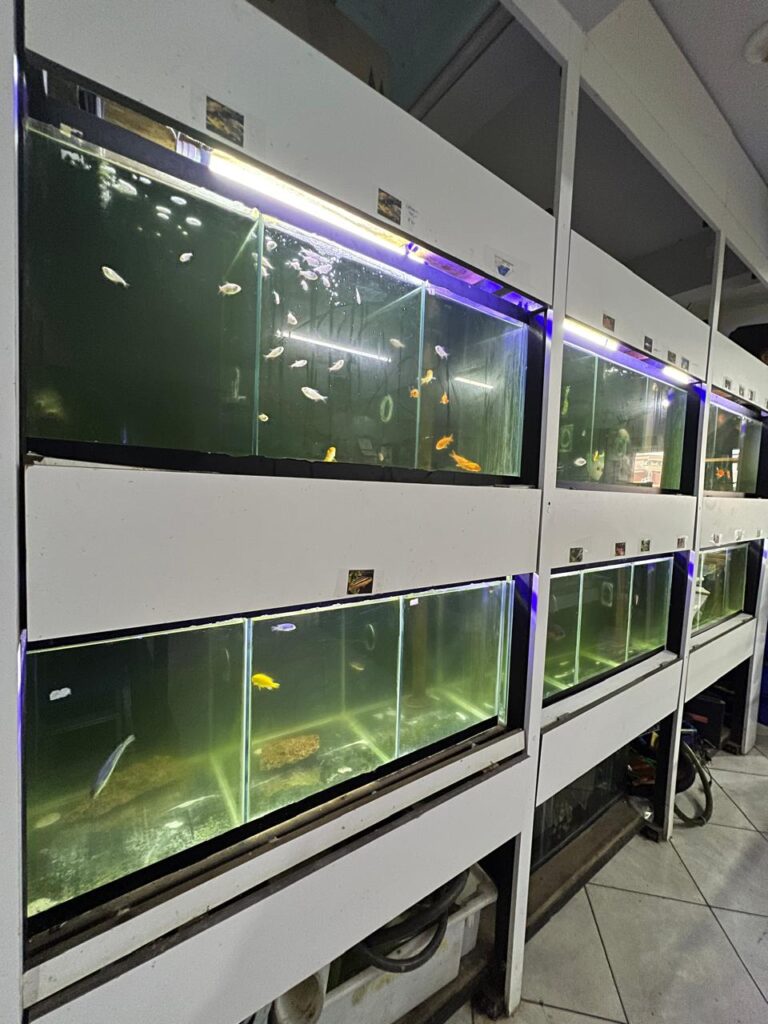 Foto de AGROVETERINÁRIA BRASIL