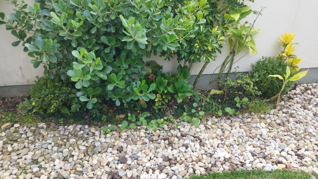 Canteiro ornamental com plantas e pedras brancas junto à parede